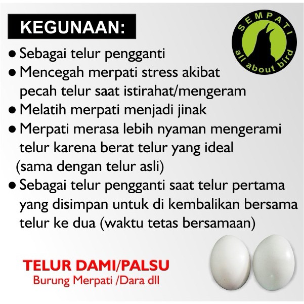 Telur Palsu Mainan Burung Merpati Shopee Indonesia