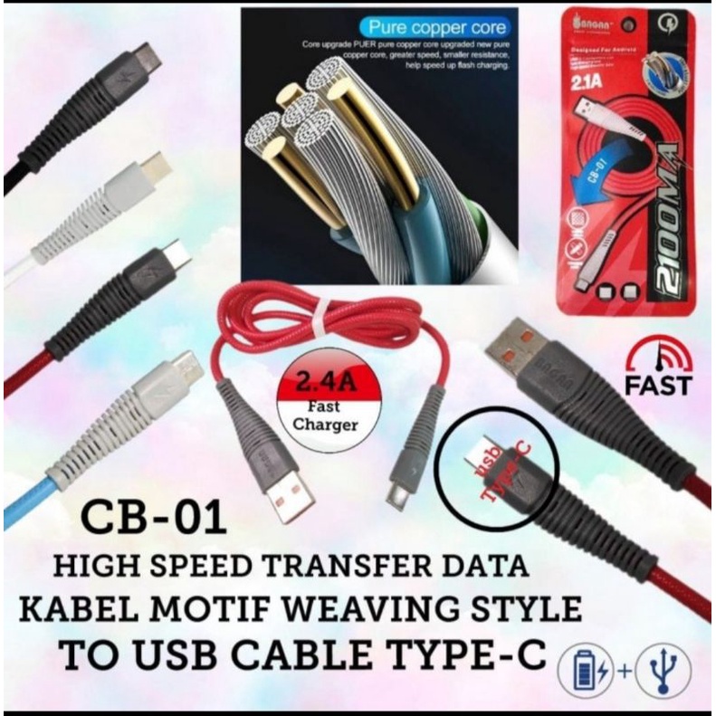 CB01 Kabel Data Kabel cas BAGAN CB-01 TYPE C