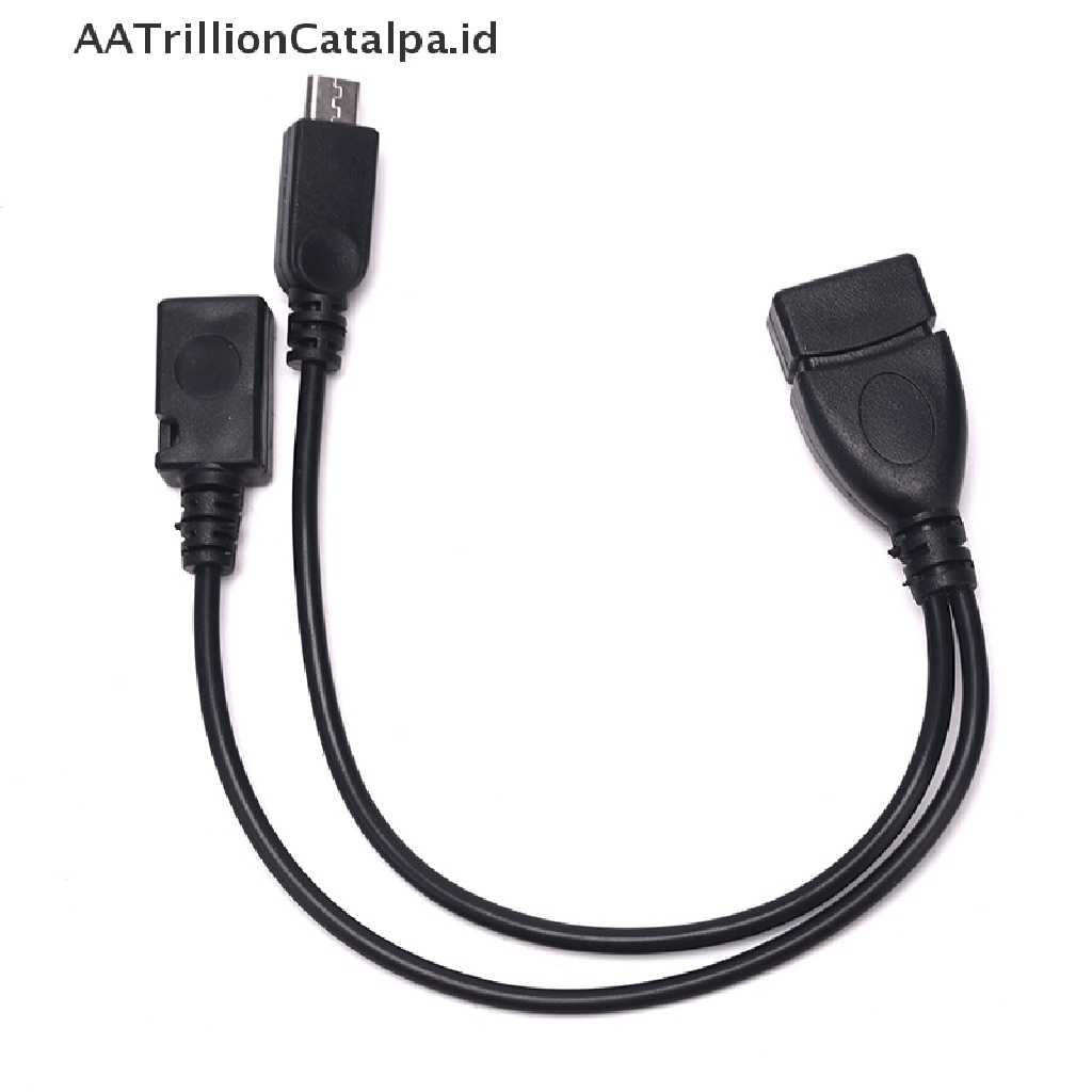 Aa Kabel Adapter Power Splitter Y Trillioncatalpa OTG Male Ke USB A Male Female