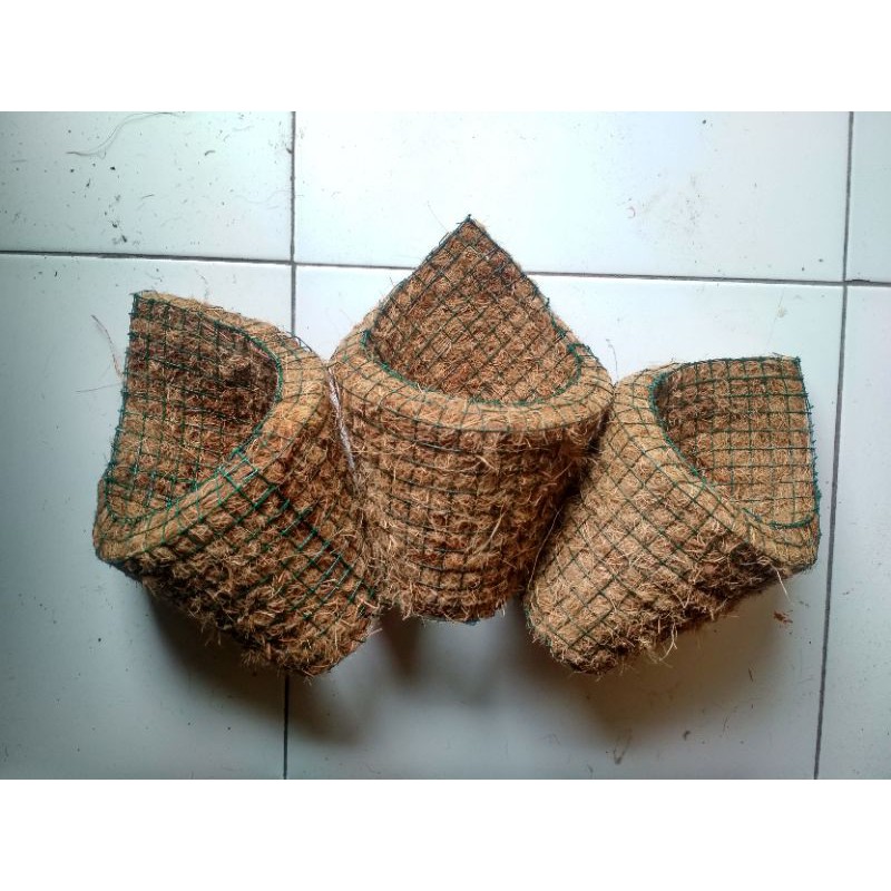 Pot tempel keong kerucut, pot serabut kelapa, pot strimin, unik, go green, pot anggrek, pot dinding