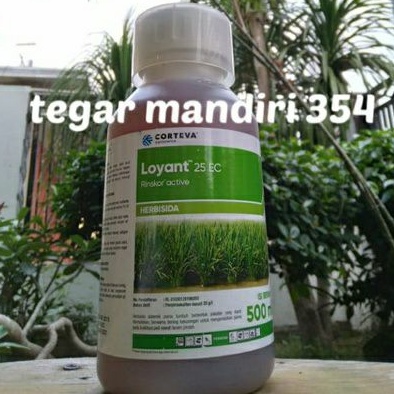 Herbisida loyant 500ml Herbisida selektif untuk padi loyant 500ml pembasmi gulma padi loyan 500ml