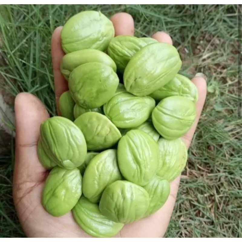

buah pete petai kupas super fresh asli pati 1kg
