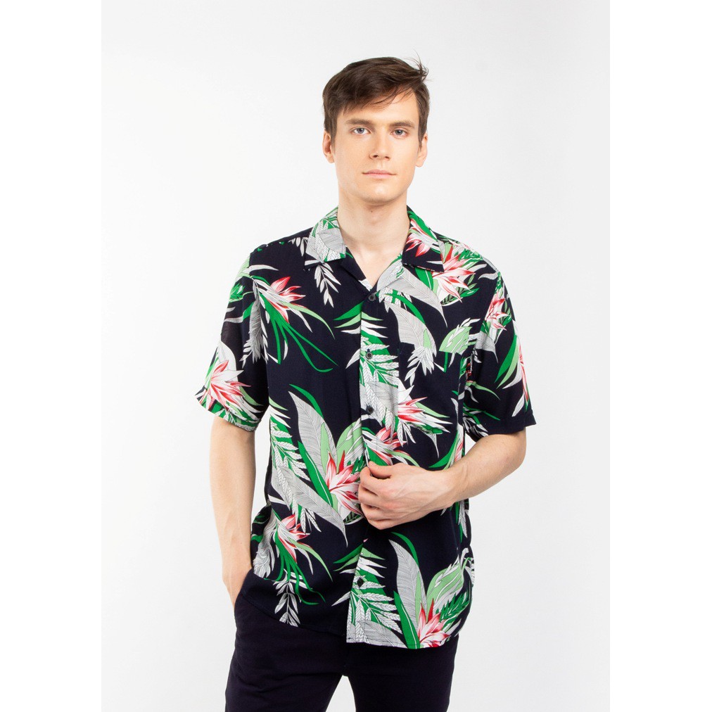 

Erigo Hawaii Higgs Navy