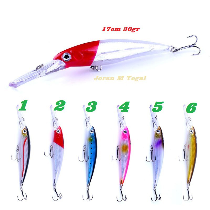 Lure Minnow Umpan Casting Troling 1730