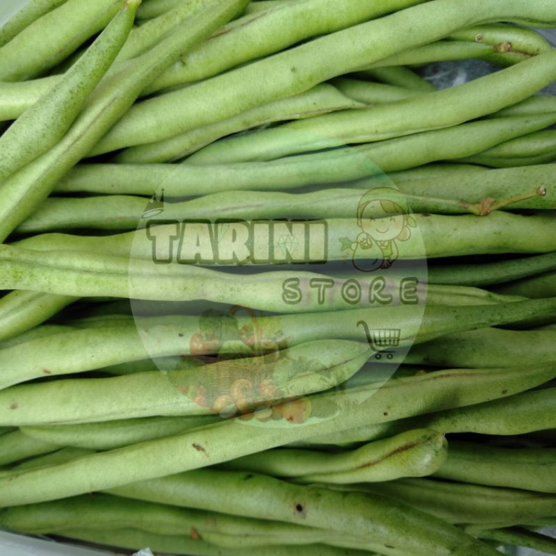 

Buncis Segar Murah 500 GR | Sayuran Segar Jakarta