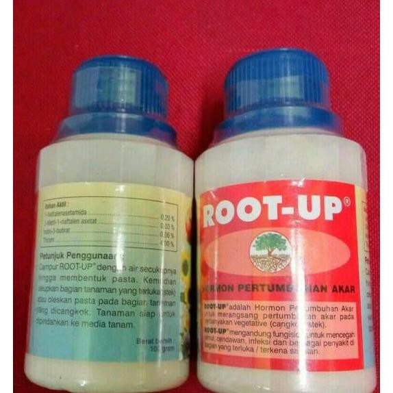 Produk Ready Root Up - Hormon Penumbuh Akar - Root-Up - Root Up Fungisida