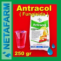 Fungisida ANTRACOL 70 WP - Kemasan 250gr