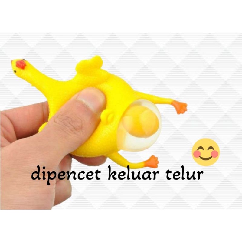 squishy ayam bertelur lucu dan imut / pop it ayam lucu super murah