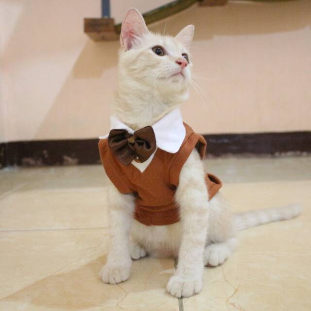 Kaos tuxedo untuk kucing &amp; anjing /Jual Baju Kucing Terlengkap &amp; Berkualitas size S-XL