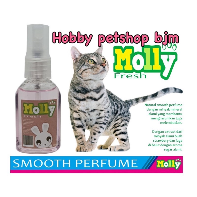 Parfum molly 30ml - Anti bakteri jamur Parfume kucing kelinci anjing hewan cat