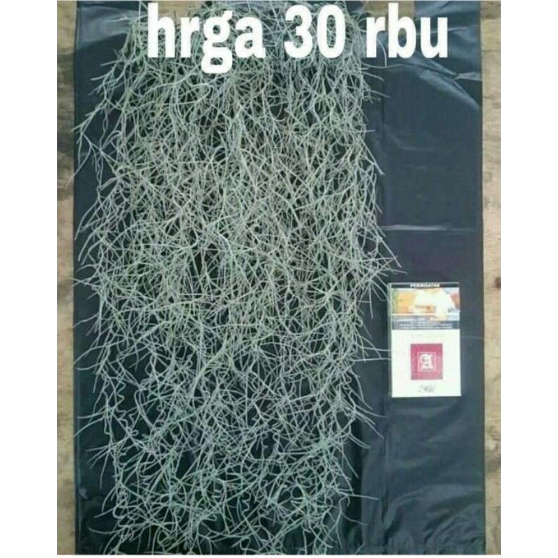 jenggot musa/dewa 40 cm