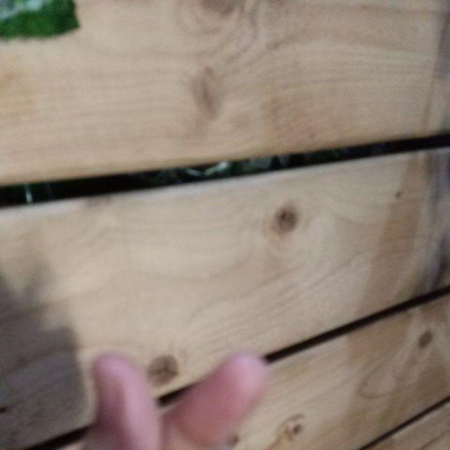 CAT LANTAI UPOX DANAPAINT  SET FLOOR COATING Shopee 