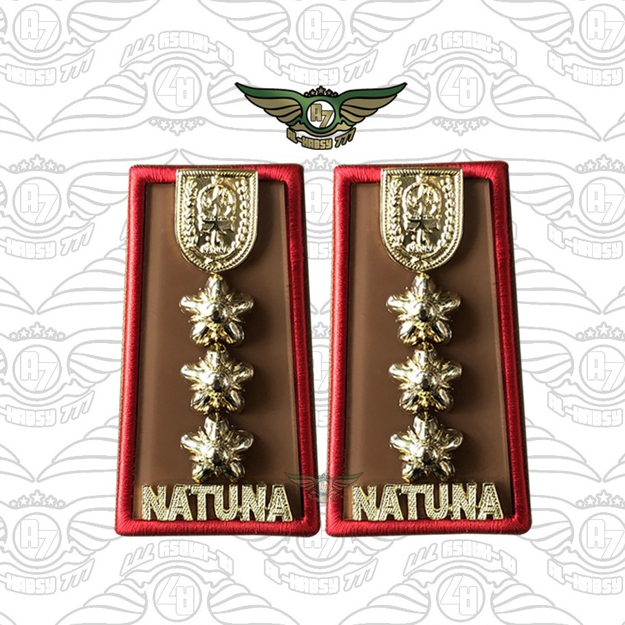 PANGKAT PNS NATUNA GOL 4B EXCLUSIVE