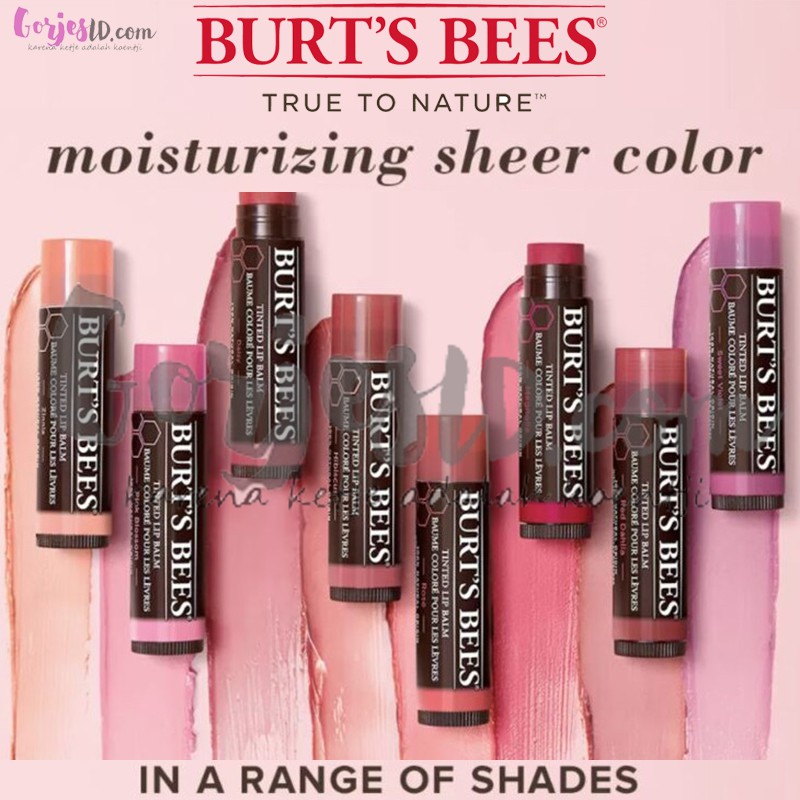 Burt's Bees Tinted Lip Balm BTS Jungkook burt burts hibiscus rose