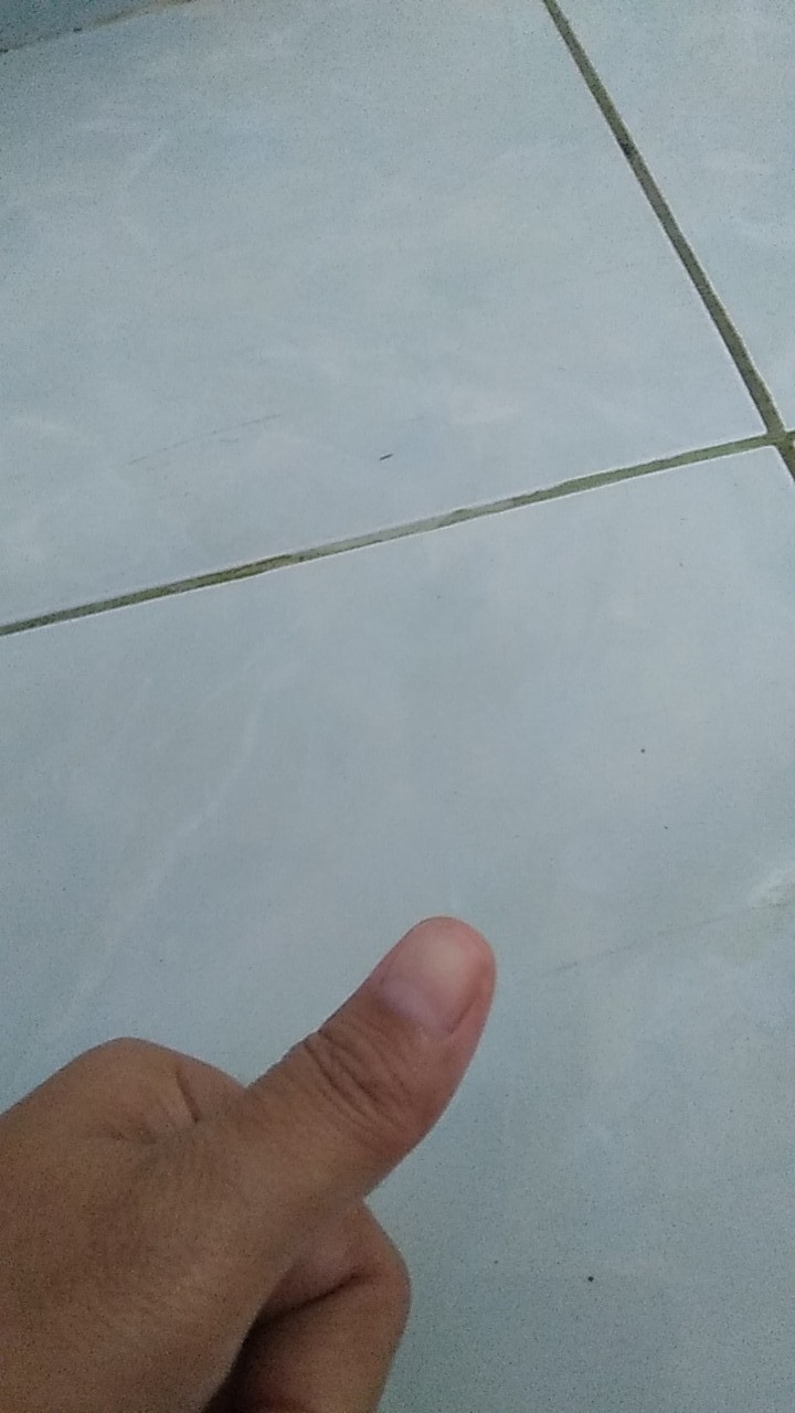 Surat Karantina (khusus Pengiriman  Luar Pulau Jawa)  Harga Per Paket