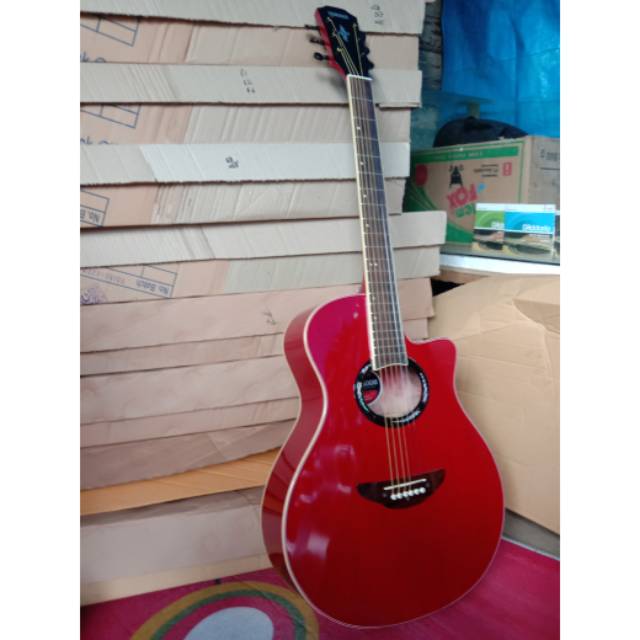 Gitar akustik apx500II