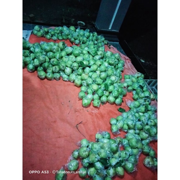 

jambu kristal kebumen