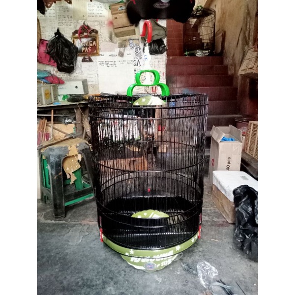 sangkar/kandang murai Ebod jaya No 2 warna hitam airbrush (grab)