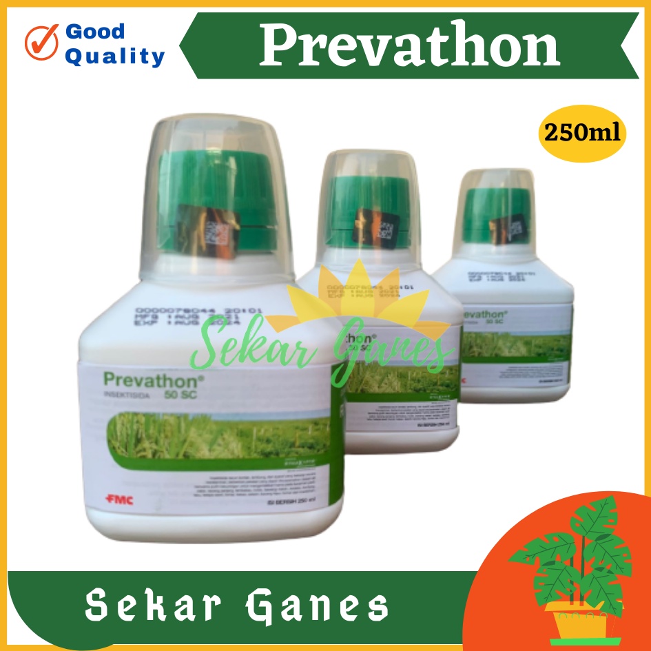 ORI INSEKTISIDA PREVATHON 50 SC 250 ML Obat Tanaman Pembasmi Hama Penggerek Batang Ulat Putih Obat Hama Tanaman Cabe Padi Tanaman Hias Buah Insektisida Sistemik Brofreya Ulat Grayak lalat Buah Ulat - Prevaton 50SC Termurah