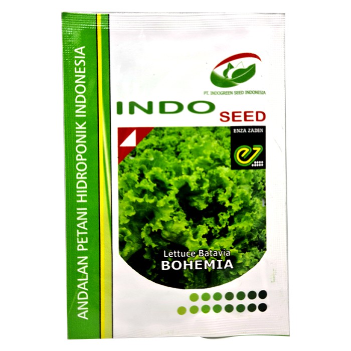 Enza Zaden Bohemia Benih Selada 5gr (5000 Benih)