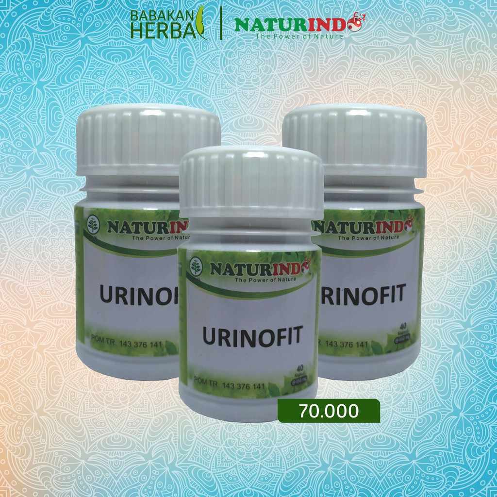 

Naturindo Fit URINOFIT Membantu Menghilangkan Batu Urin di Ginjal & Melancarkan Buang Air Kecil