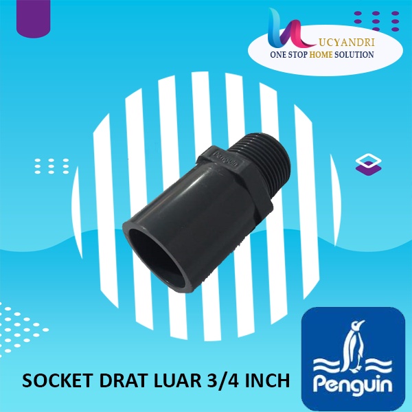 Socket Drat Luar PENGUIN 3/4 Inch Sok Pipa PVC