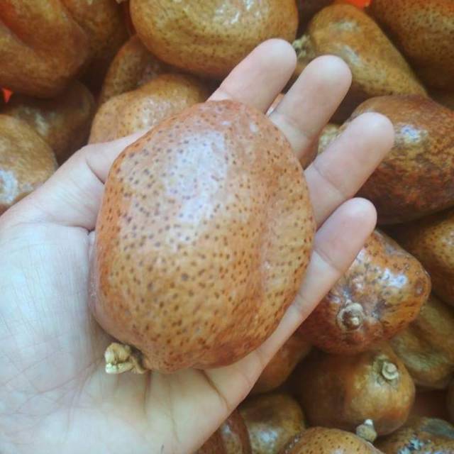 Buah Zuriat 1000g