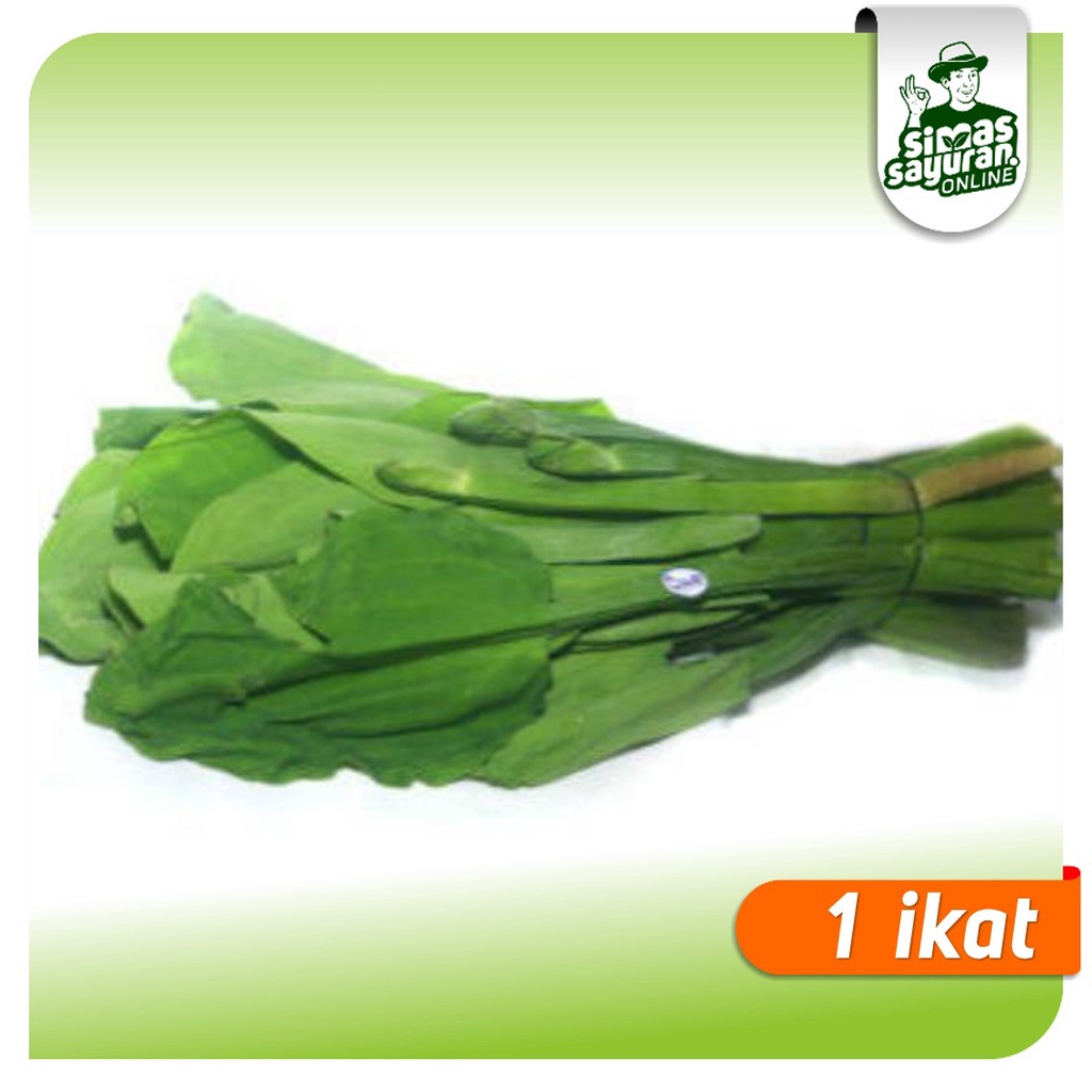 

Daun Genjer 1 Ikat