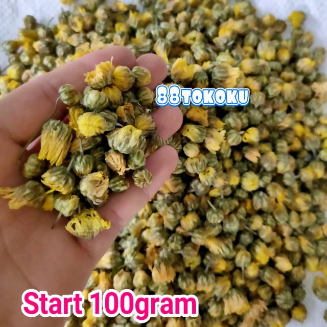 

Teh kuncup bunga krisan baby chrysantemum Thai jik hua