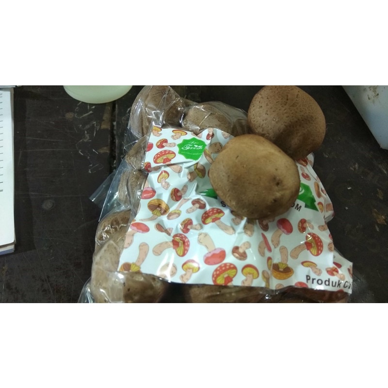 

king oyster 1 pcak Rp18.000