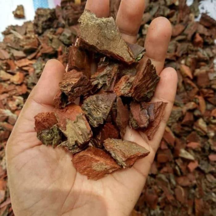 TERRA FOREST BARK UMKM KEBUMEN SIDOMORO AREN