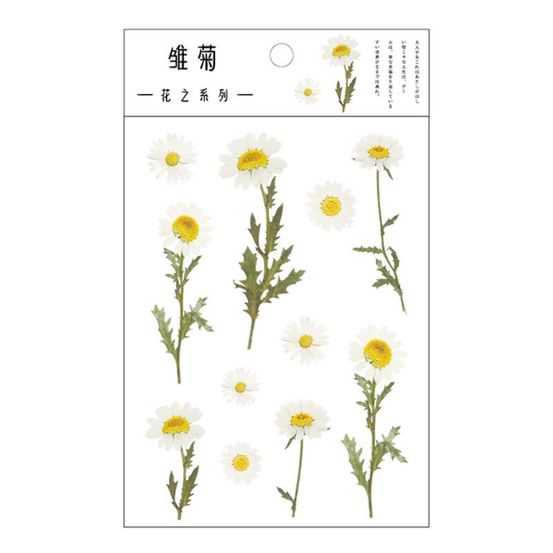 [1Pcs Designs Natural Daisy Plant Words Stickers] [Transparent PET Material Flowers Leaves Plants Deco Stickers]