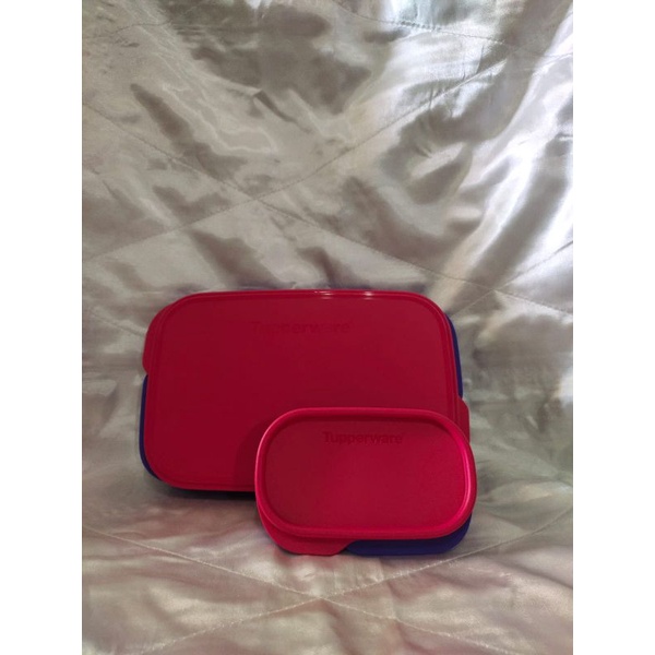 Foodie Buddy Ungu Tupperware