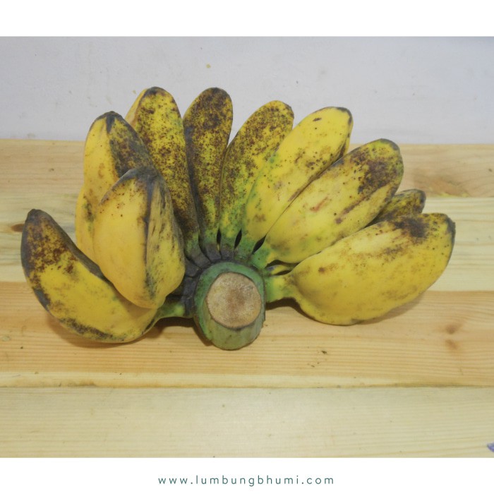 

PROMO PISANG KEPOK ( BUAH - BUAHAN CURAH ) !!!