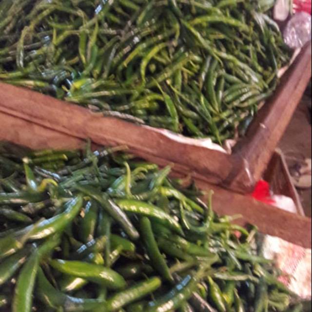 

Cabe hijau besar 1kg