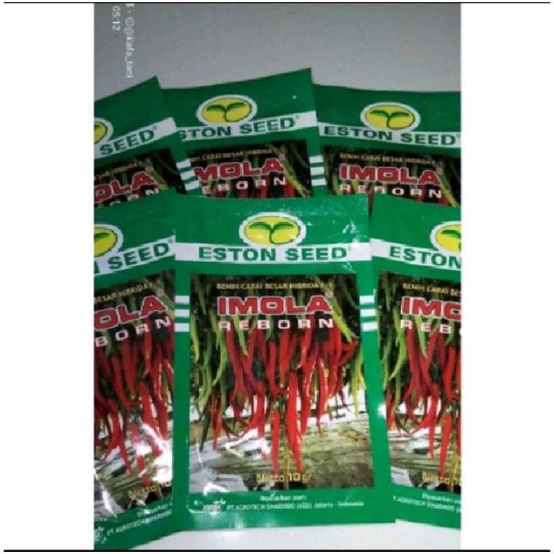 Cabe Besar Hibrida F1 Imola Reborn  Berat 10gr