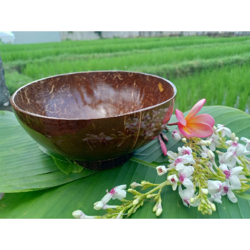Mangkok Batok Kelapa / Mangkok Murah / Mangkok Unik / Mangkuk / Mangkok / Mangkok Lucu