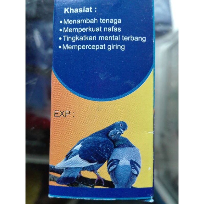 PIL MERPATI GINSENG TEKI