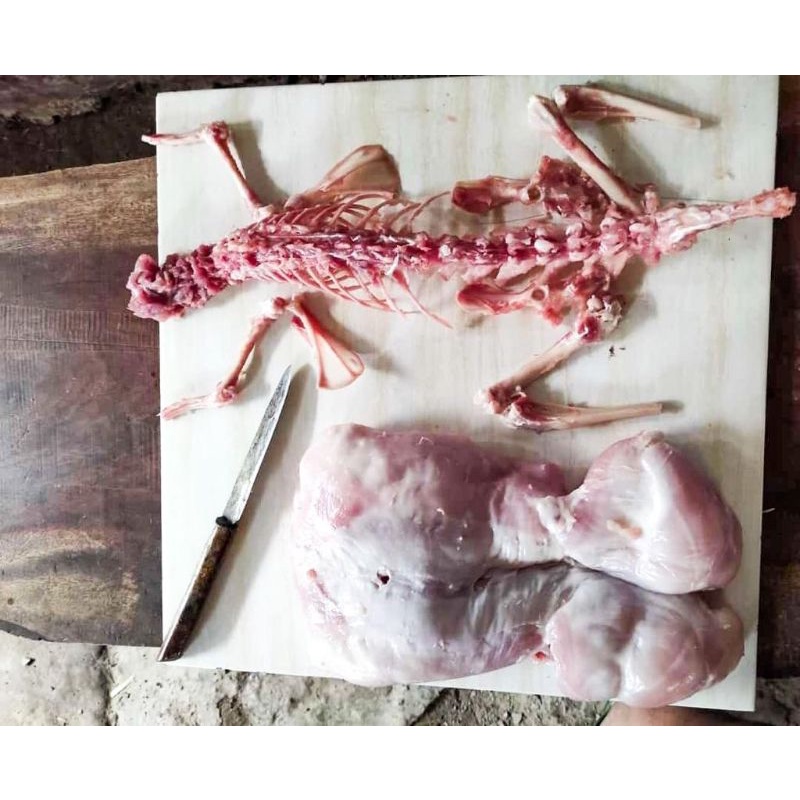 

DAGING FILLET KELINCI