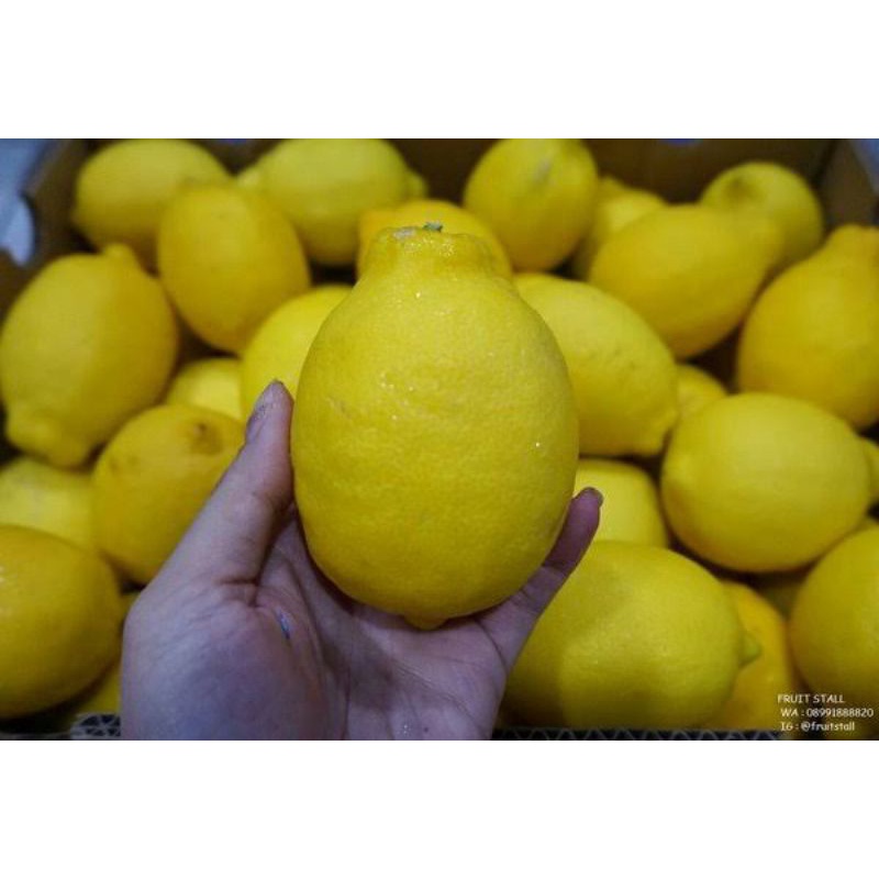 

Lemon Import segar 1kg