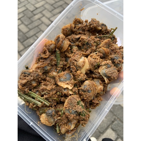 

Rendang Lokan/Kerang dengan Pakis 300gr