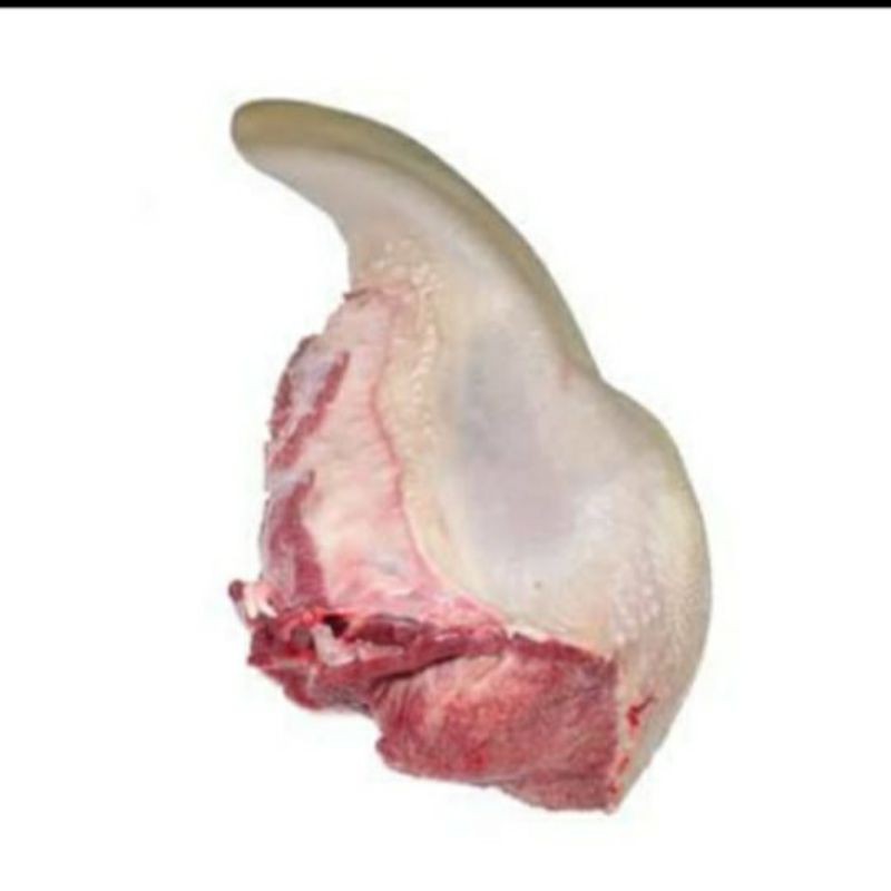 

Lidah sapi 1,25 - 1,4 kilo gram