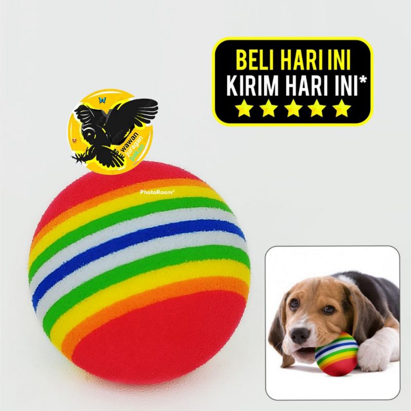 RAINBOW BALL, BOLA MAINAN kucing