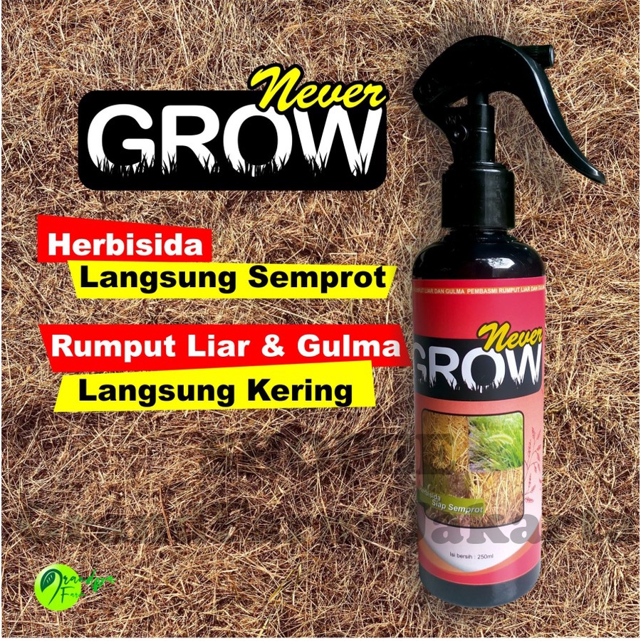 NeverGrow Obat Semprot Rumput dan Lumut Liar Siap Pakai. Rumput Mati sampai Akar Lumut Mati Kering