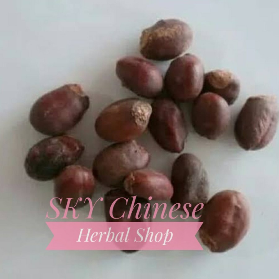 

(100 GRAM) Biji Lychee Seed / Li Zhi He /Seeds Litchi Leci Lai Ci