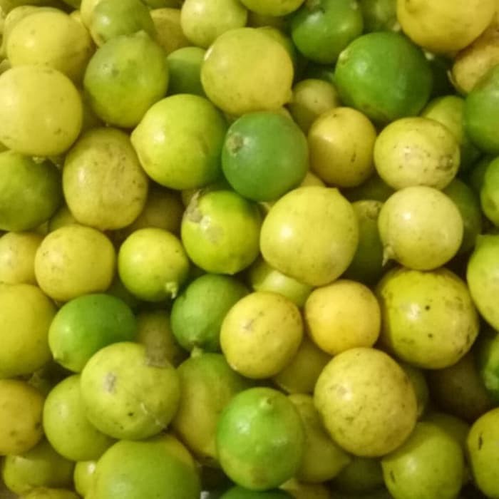 buah lemon lokal