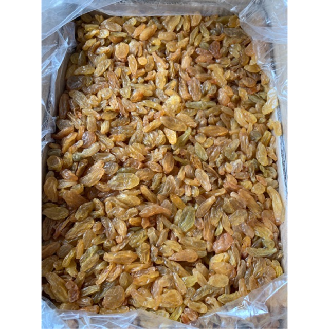 

kismis golden raisin kuning & besar2