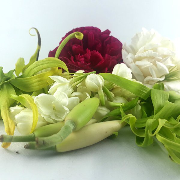 Bunga 7 Rupa Fresh