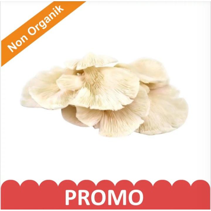 

PROMO Jamur Tiram/ Pack