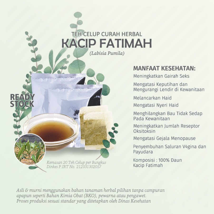 

Teh Celup Herbal KACIP FATIMAH (Labisia Pumila) untuk Gairah Seks, Gejala Menopause, dan Haid